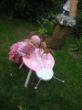 DSC08731.JPG
